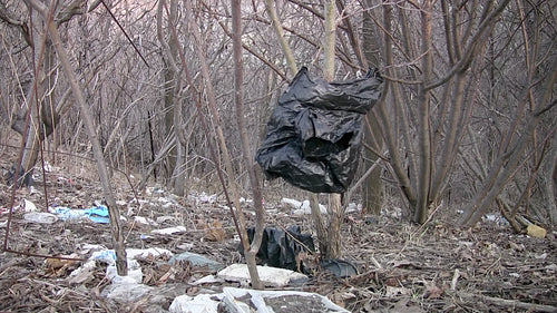 Garbage in the forest. HD video.