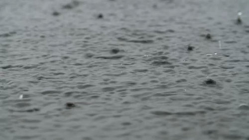 Closeup of raindrops falling on grey lake surface. Good audio of rain. 4K.