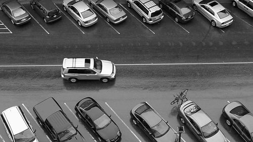 Rainy Street. Cars go by. Black and white. HD.