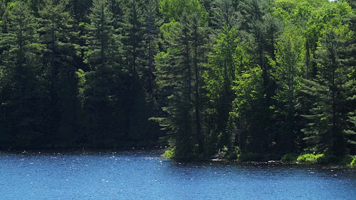 Shoreline of freshwater lake with sparkling water and green trees. 4K.