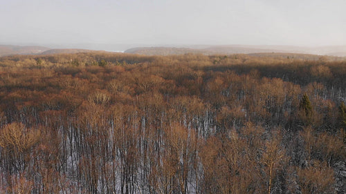 Winter flight over forest at sunset. Beautiful light with snow falling. Canada. 4K.