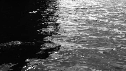 Slow motion shot of silky lake surface with reflections. Moody contrast. Black and white. HD.