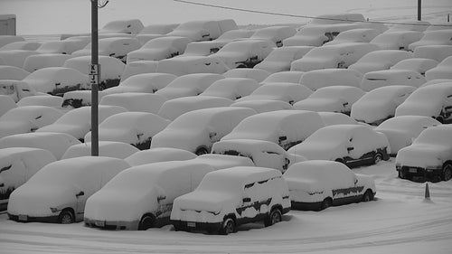 Snow covered vehicles in parking lot after snowstorm. Black and white. HD video.