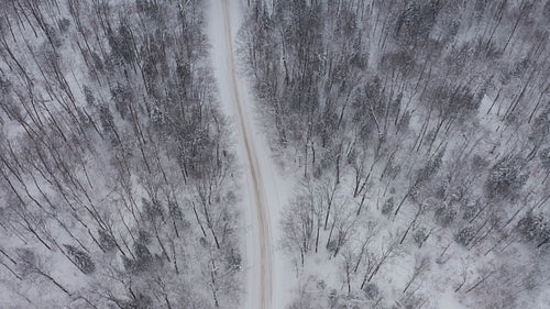 Rural winter road in the forest. 4K.