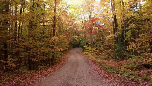 Drone aerial. Autumn cottage road in rural Ontario, Canada. 4K.