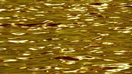 Silky smooth, slow motion lake waves tinted gold. Metallic look. HD.