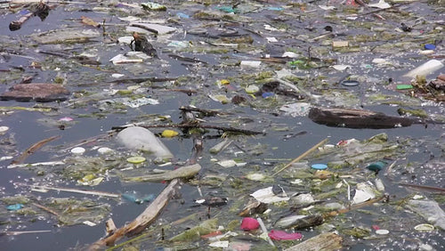 Water pollution. Garbage floating in Lake Ontario, Canada. HDV footage. HD.