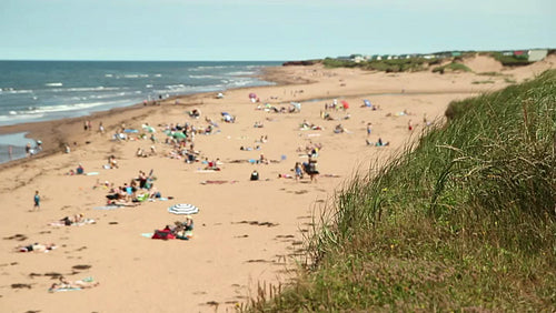 Summer beach. Shallow depth of field. PEI, Canada. HD.