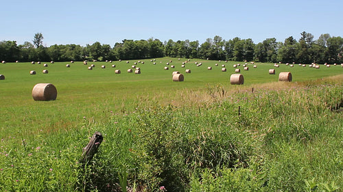 Hayfield in rural Ontario, Canada. HD video.