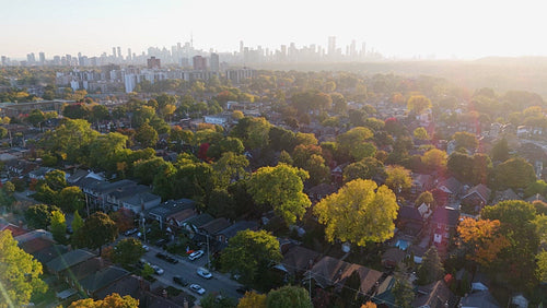 Drone aerial. Autumn suburbs with beautiful light. East York, Toronto. 4K.