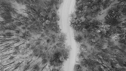 Mellow drone flight over snow covered winter road. Snow falling. Ontario. Black and white. 4K.