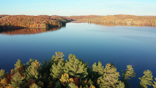 Drone aerial over autumn trees and lake with glassy surface. Ontario, Canada. 4K.