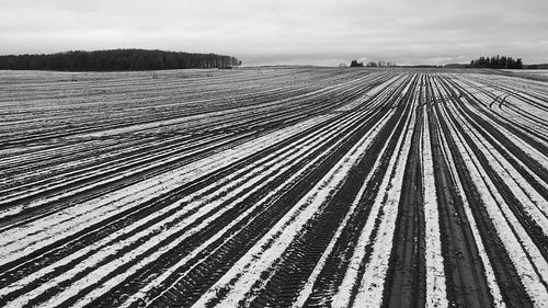 Slow drone flight over snowy farmers field in Ontario, Canada. Black and white. 4K.