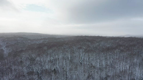 Low drone flight over winter landscape. Beautiful light. 4K.