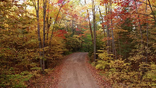 Drone aerial. Autumn cottage road in rural Ontario, Canada. 4K.