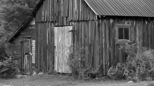 Wooden shed with tin roof in rural Ontario. Door and window. Black and white. HD.