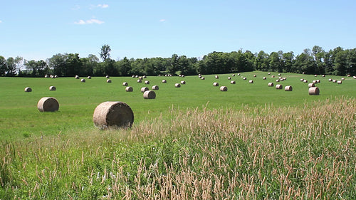 Hayfield with circular bales in rural Ontario, Canada. HD video.