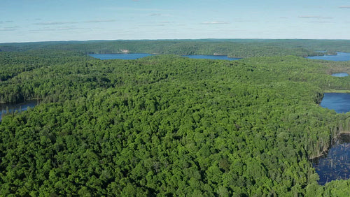 Drone flight over forests and lakes. Summer in Ontario. 4K.