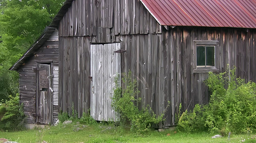 Wooden shed with tin roof in rural Ontario. Door and window. HD.