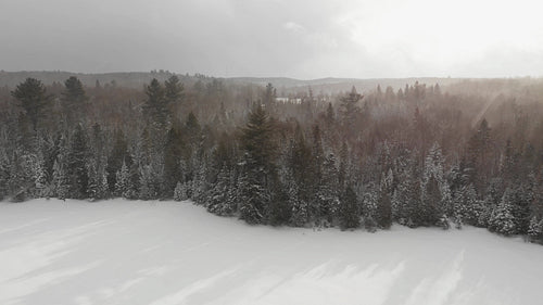 Drone flight over frozen winter lake and snow covered trees. Snow falling. 4K.