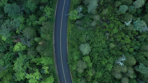 Drone aerial following corner of road. Summer in Ontario. 4K.