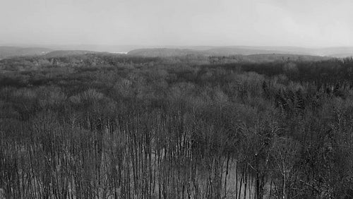 Winter flight over forest at sunset. Beautiful light with snow falling. Canada. Black and white. 4K.