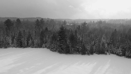 Drone flight over frozen winter lake and snow covered trees. Snow falling. Black and white. 4K.