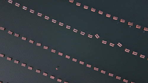 Drone flight. Top down view over oyster cages. Darnley Basin, PEI, Canada. 4K