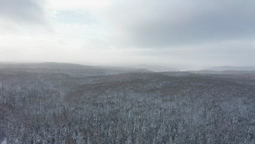 Drone flight over winter landscape. Beautiful light. 4K.