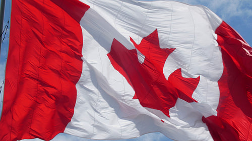 Closeup of large Canadian flag with Maple Leaf blowing in the wind. 4K.