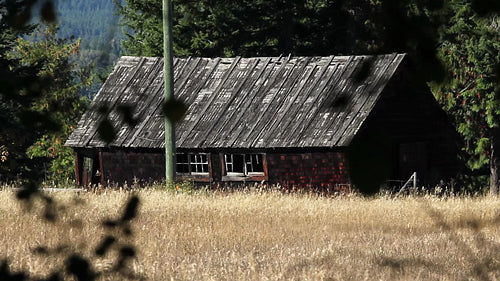 Abandoned farm building with heatshimmer. View through the trees. HD.