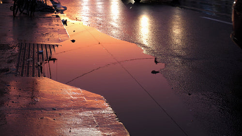 Pretty city puddle. Pink, purple and orange sunset reflection. Toronto. 4K.