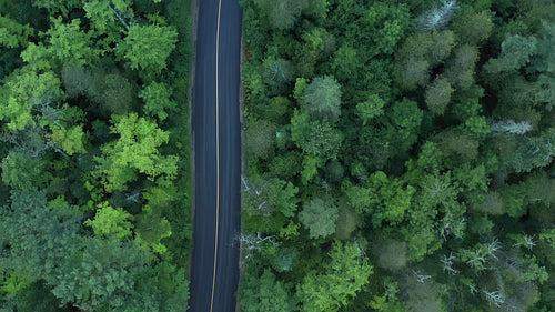 Drone aerial following road with gentle curves. Summer in Ontario. 4K.