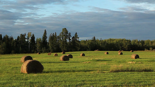 Haybales at sunset in a field in Ontario, Canada. Wide shot. HD.
