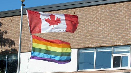 Canadian flag and gay pride flag flying outside high-school. Ontario, Canada. HD.