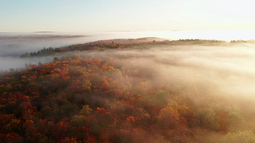 Drone flight over magical, misty morning landscape with fall colours. 4K