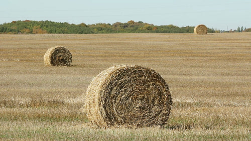 Three hay bales in a field. Manitoba, Canada. HD.