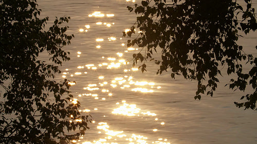Sparkling summer sunset lake. Trees in silhouette. Slow motion. HD.