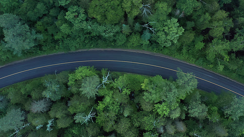 Drone aerial following curving road with green trees. 4K.