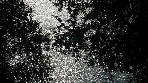 Sparkling summer lake with trees in silhouette. Slow motion. HD.