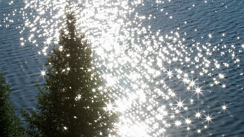 Brilliant sunny sparkles on lake shine through branches of evergreen tree. 4K.