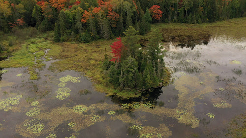 Drone circles island in Ontario wetland lake. 4K.